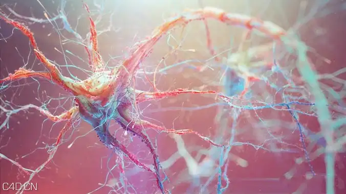 C4D神经元细胞景深效果视频教程 Neuron with Depth of Field