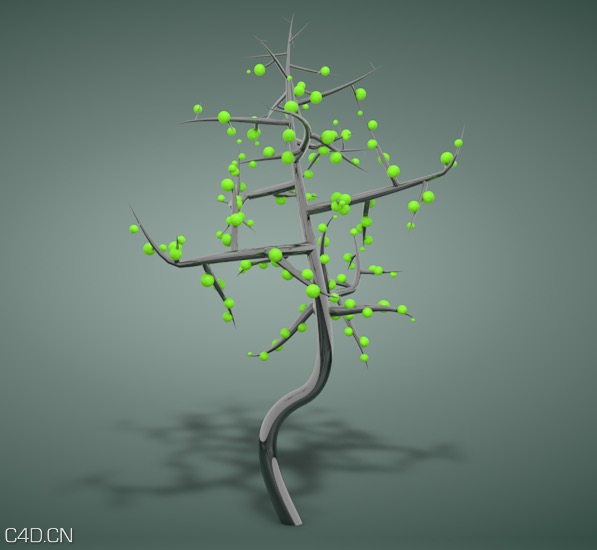 C4D生长的树 Growing tree with xfrog