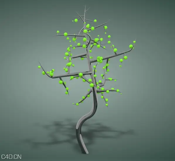 C4D生长的树 Growing tree with xfrog