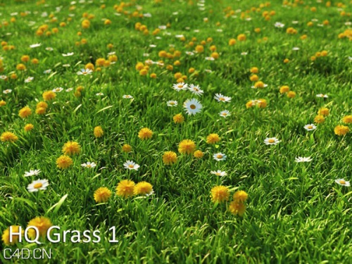 226个花草植物C4D模型 vrayc4d – HQ Grass vol.1 for Cinema4D