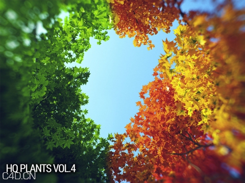 140个高精树木C4D模型合集 vrayc4d – HQ Plants vol.4 for Cinema4D