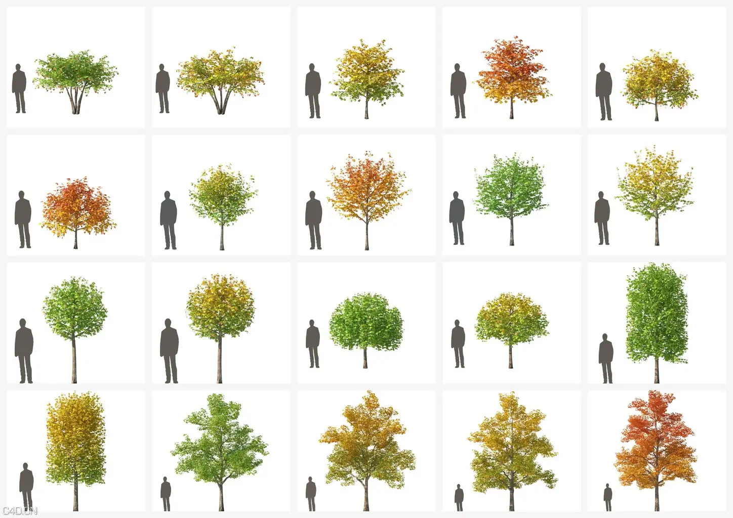 140个高精树木C4D模型合集 vrayc4d – HQ Plants vol.4 for Cinema4D - C4D之家 - previews.jpg