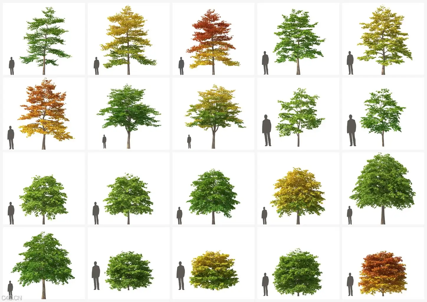 140个高精树木C4D模型合集 vrayc4d – HQ Plants vol.4 for Cinema4D - C4D之家 - previews1.jpg