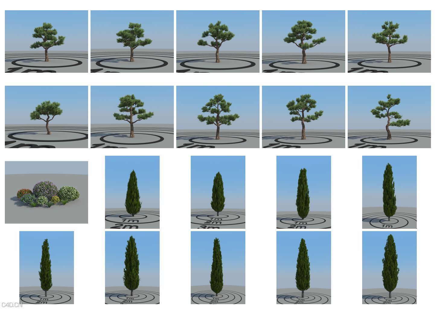 150个景观松树,柏树C4D模型合集 vrayc4d – HQ Plants vol.2 for Cinema4D