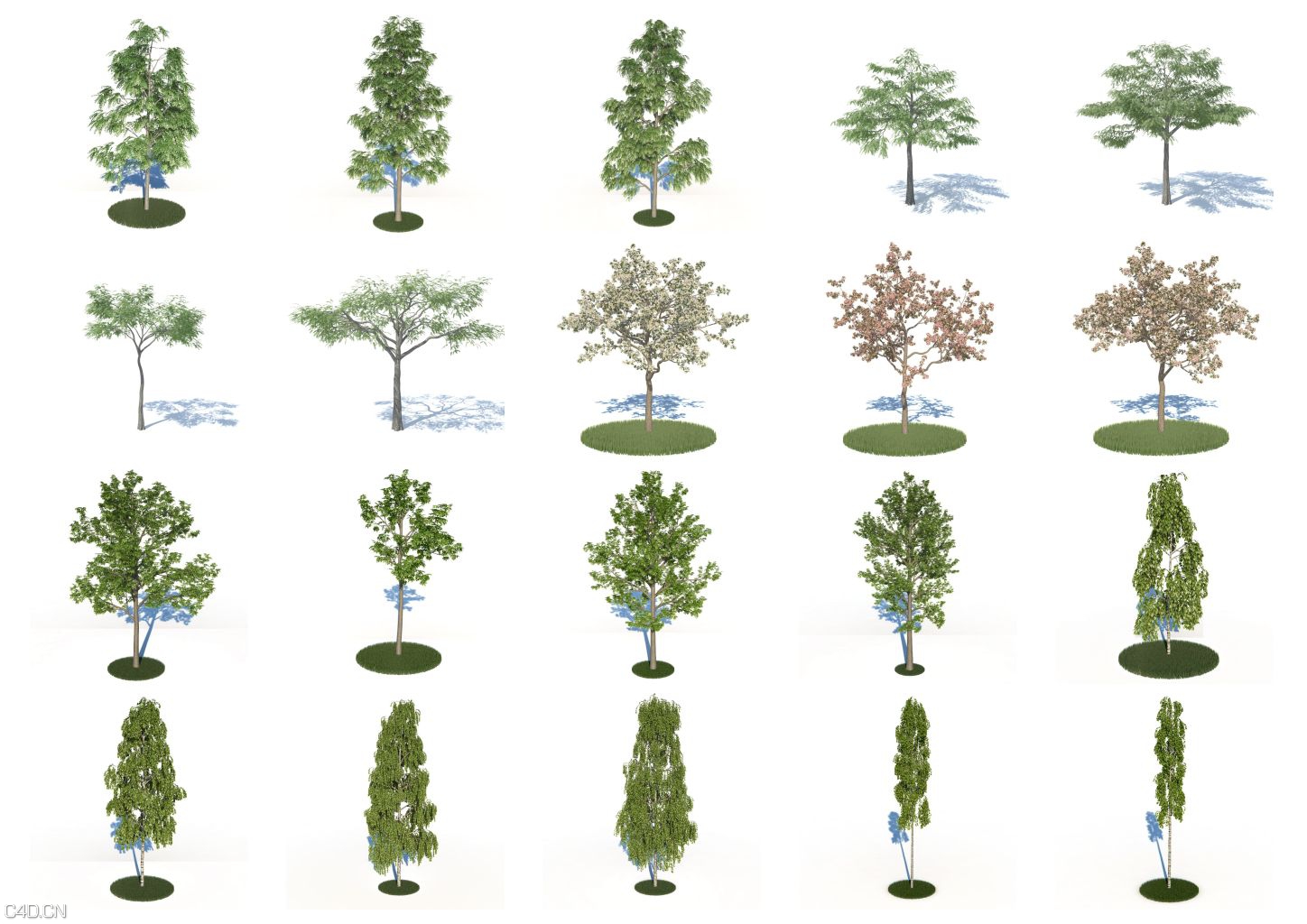 180个城市景观树种C4D模型合集 vrayc4d – HQ Plants vol.1 for Cinema4D