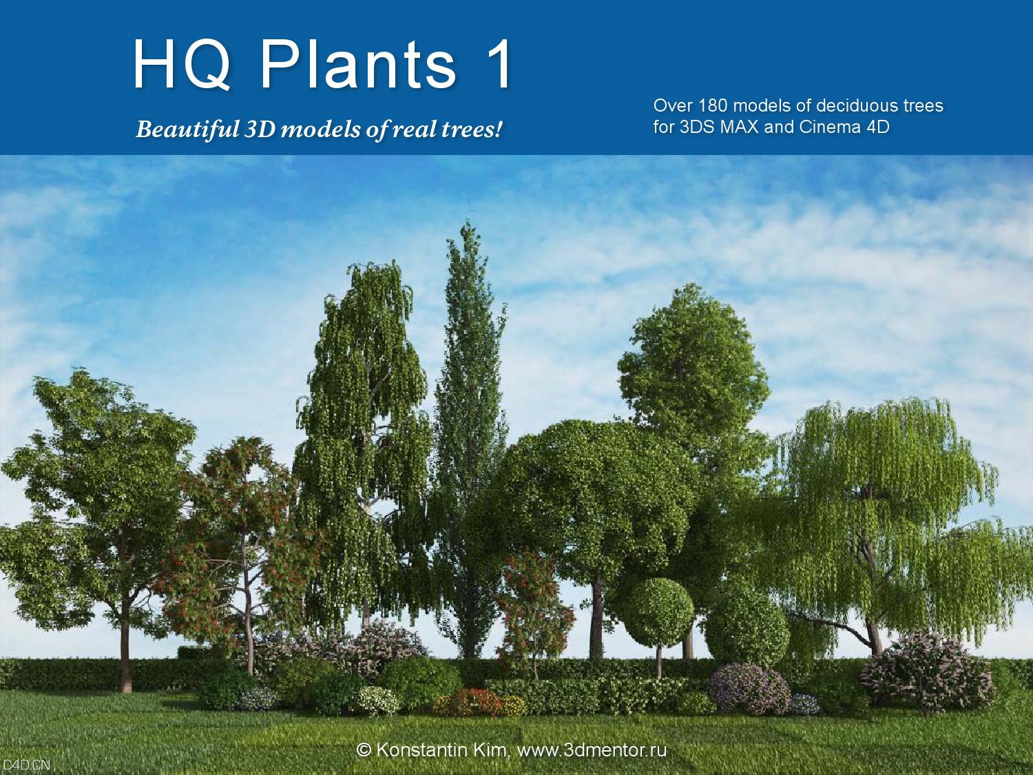 180个城市景观树种C4D模型合集 vrayc4d – HQ Plants vol.1 for Cinema4D - C4D之家 - page_1.jpg