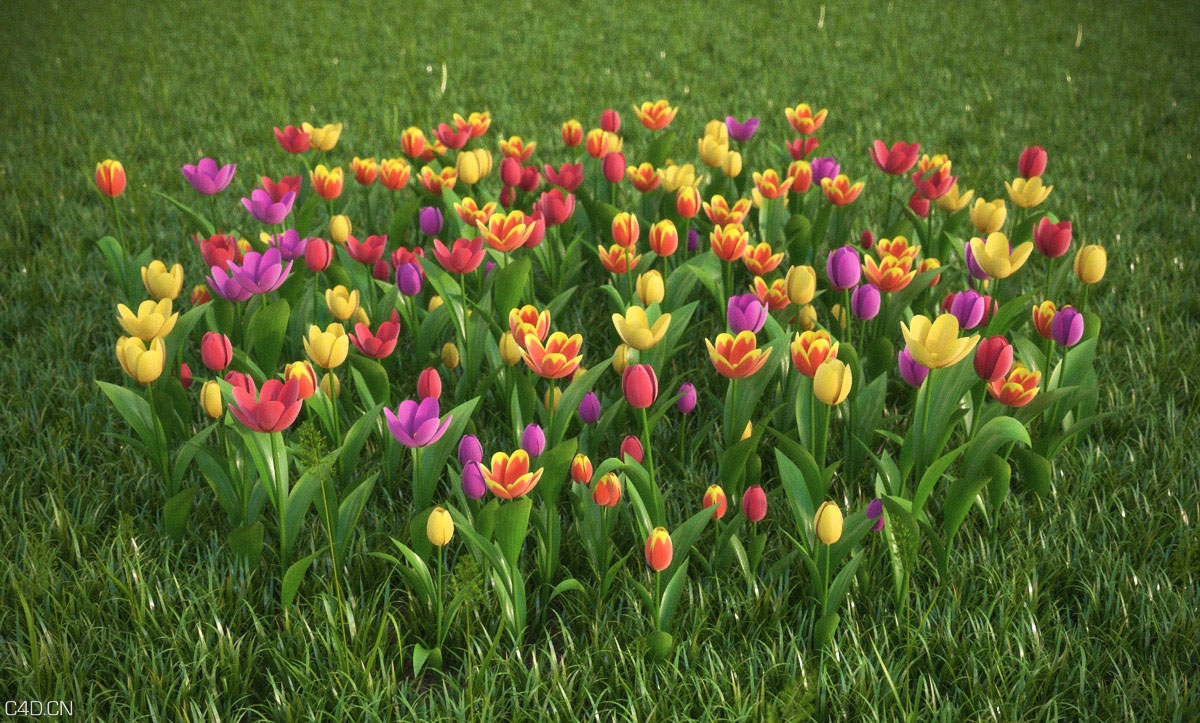 41种漂亮的花卉C4D模型合集 vrayc4d – HD Flowers vol.2 for Cinema4D - C4D之家 - hd-flowers-vol.2-cinema4d.jpg