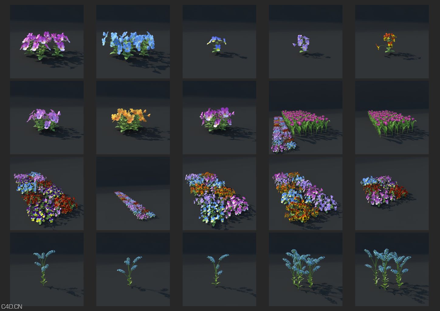 41种漂亮的花卉C4D模型合集 vrayc4d – HD Flowers vol.2 for Cinema4D - C4D之家 - hq_flowers_vol2_Contact-Sheet-2.jpg