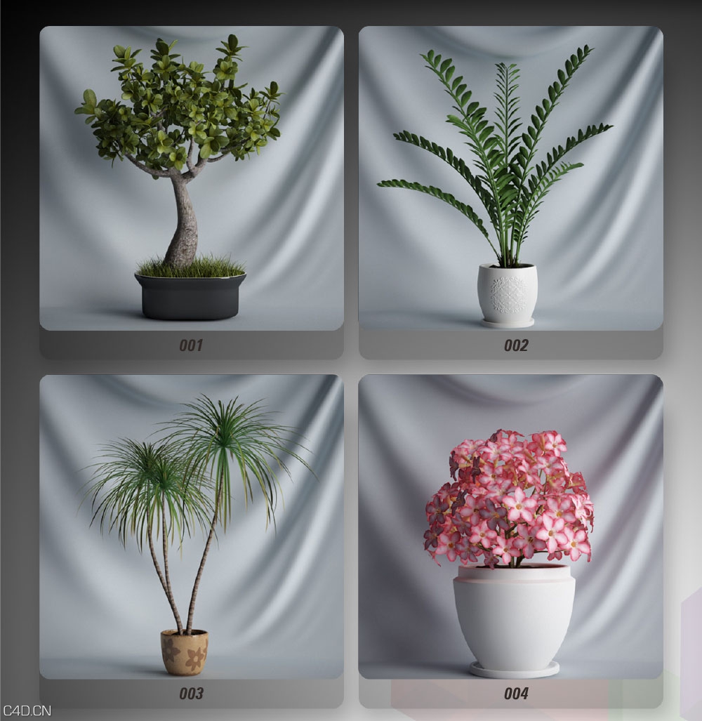 C4D 20款盆栽植物饰景模型 CGAxis Plants Collection [C4D]