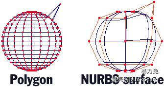 数字人NURBS建模课堂：RHINO入门学习笔记-2