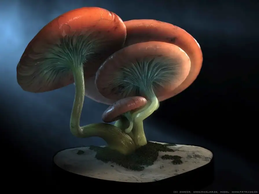 C4D早期版本的材质基础教程 Cineversity (Cinema 4D)Materials Editor