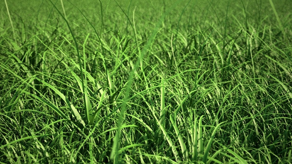 C4D 快速草地生成插件解锁版 C4DZone Grass Painter 2.0
