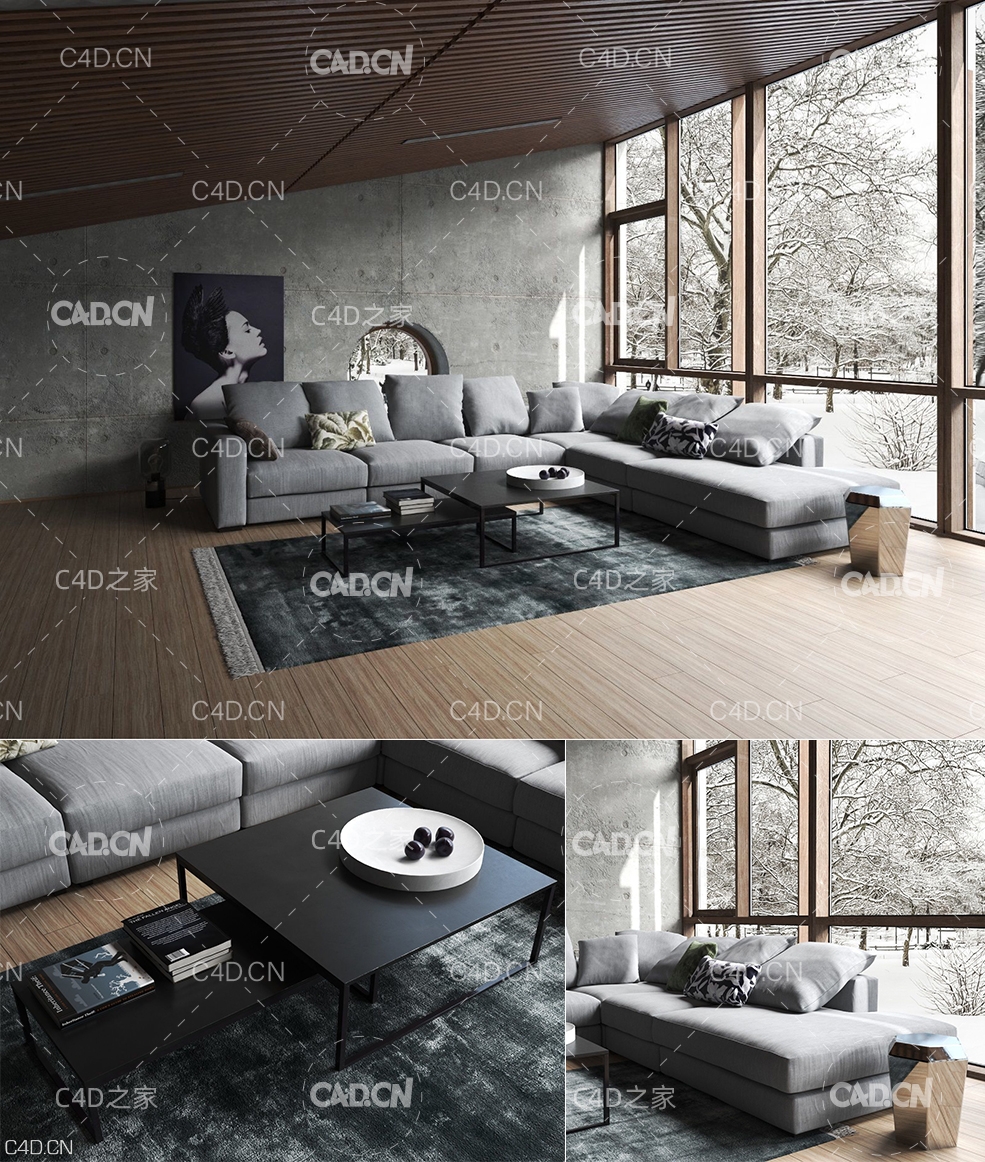 C4D室内模型：客厅模型 A living room - C4D之家 - beinspiration-118-3d-model-max--obj-mtl-fbx-c4d.jpg