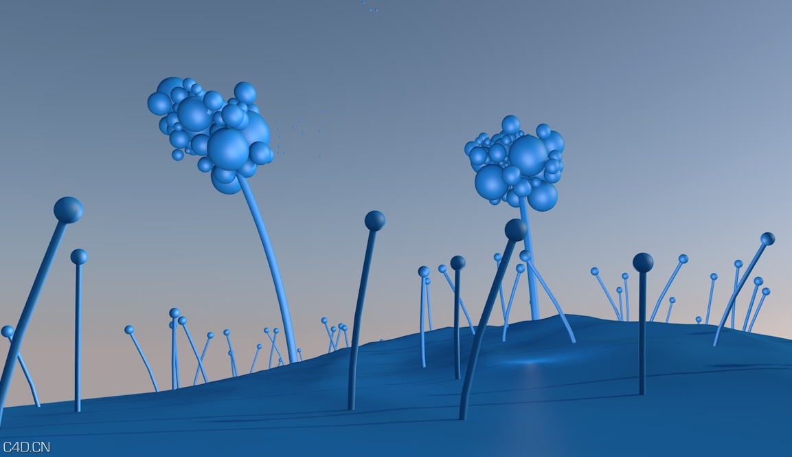 C4D Octane卡通植物动画工程 slaap