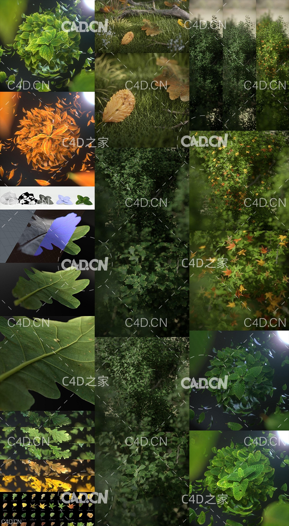 62个C4D Octane树叶模型材质合集 Leaves Shaders Pack 1 62 Shaders