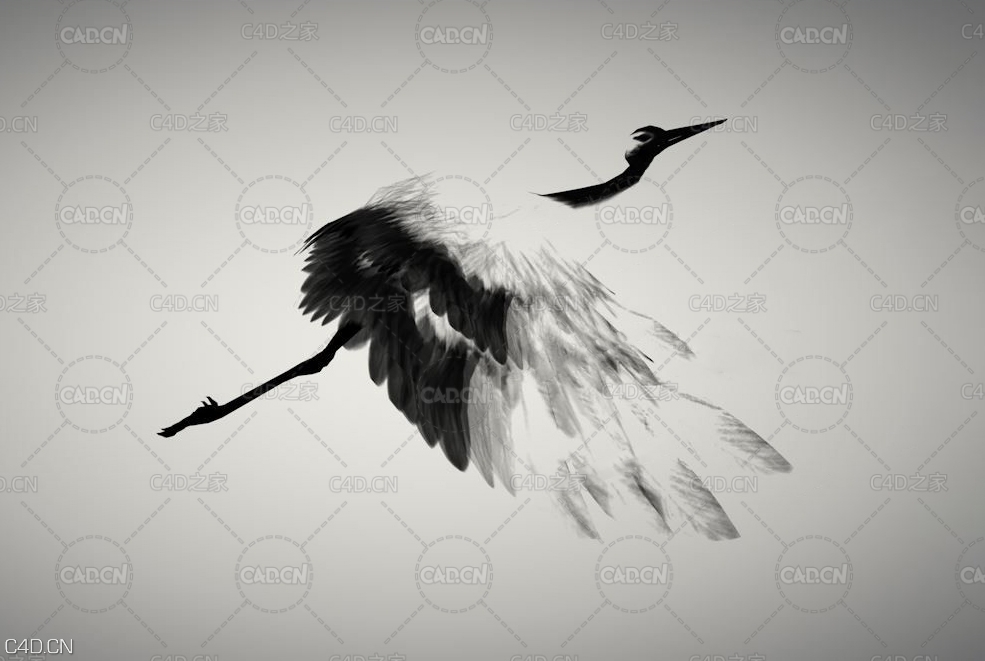 水墨仙鹤C4D绑定动画 INK CRANE - C4D之家 - 88.jpg
