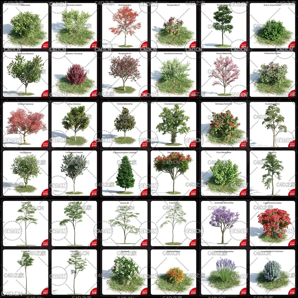 60个高精度植物树木C4D模型 EVERMOTION ARCHMODELS VOL.154 - C4D之家 - 未命名-1.jpg