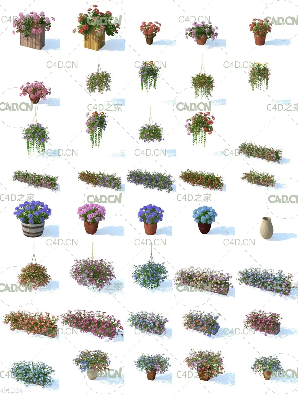 100组景观装饰花卉 花盆 树木C4D模型合集vrayc4d – HD Flowers vol.3 for Cinema4D - C4D之家 - hq_flowers_vol3_Contact-Sheet-3.jpg