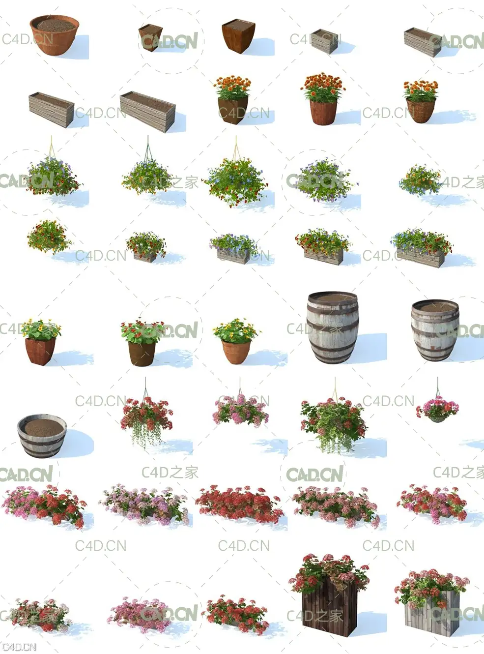 100组景观装饰花卉 花盆 树木C4D模型合集vrayc4d – HD Flowers vol.3 for Cinema4D - C4D之家 - hq_flowers_vol3_Contact-Sheet-4.jpg