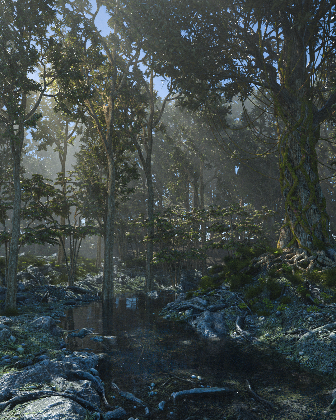 看视频学习的森林小场景 - C4D之家 - OC_森林小场景_Cold.png