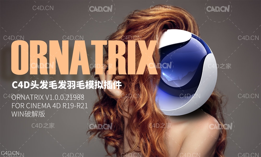 C4D头发毛发羽毛模拟插件 Ornatrix v1.0.0.21988 for Cinema 4D R19-R21 Win解锁版 - C4D之家 - AdobeStock_170676812.jpg
