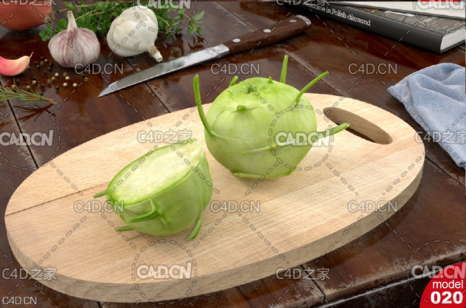 芥菜根 芥菜疙瘩C4D模型 Brassica juncea - C4D之家 - 170-12_02.jpg