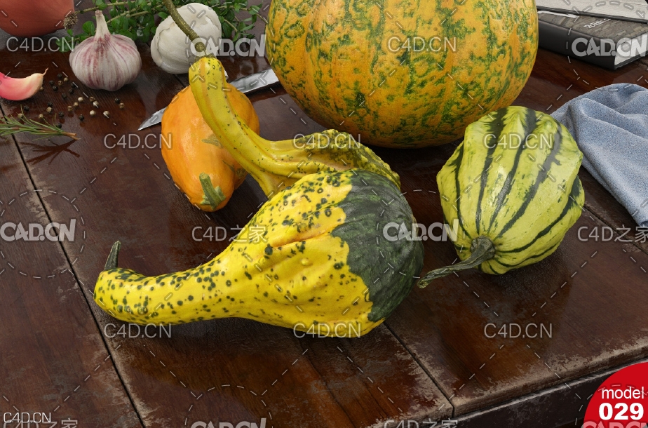 倭瓜 南瓜C4D模型 Pumpkin