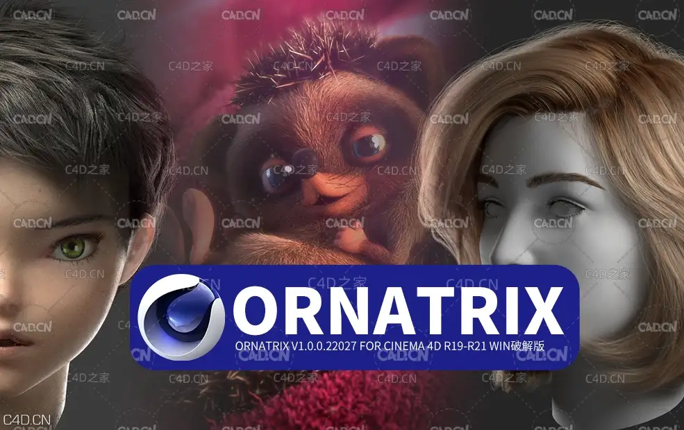 C4D头发毛发羽毛模拟插件 Ornatrix v1.0.0.22027 for Cinema 4D R19-R21 Win解锁版