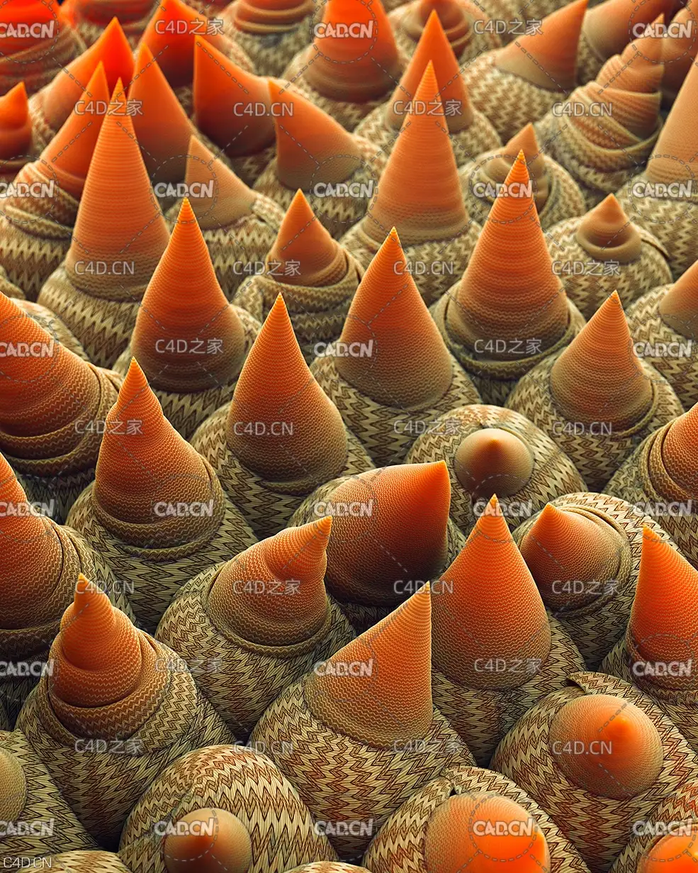 C4D Redshift工程：尖状细胞 Cell