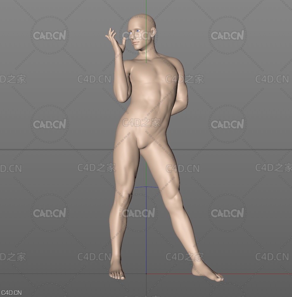 站立的裸体男性人体模型 Patrick