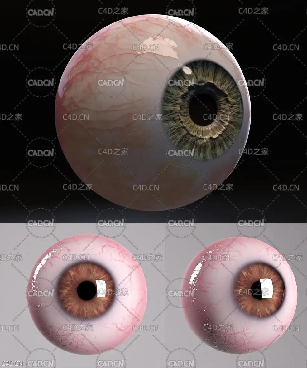 15个真实眼球 眼睛3D模型 FlippedNormals – Game Ready – Realistic Eye Pack