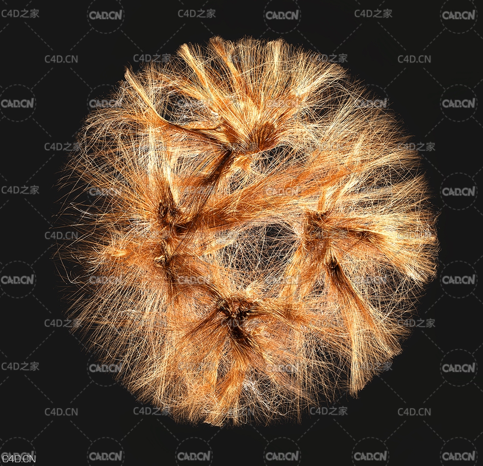 C4D Redshift工程：粒子节点毛发生长动画 Nodes