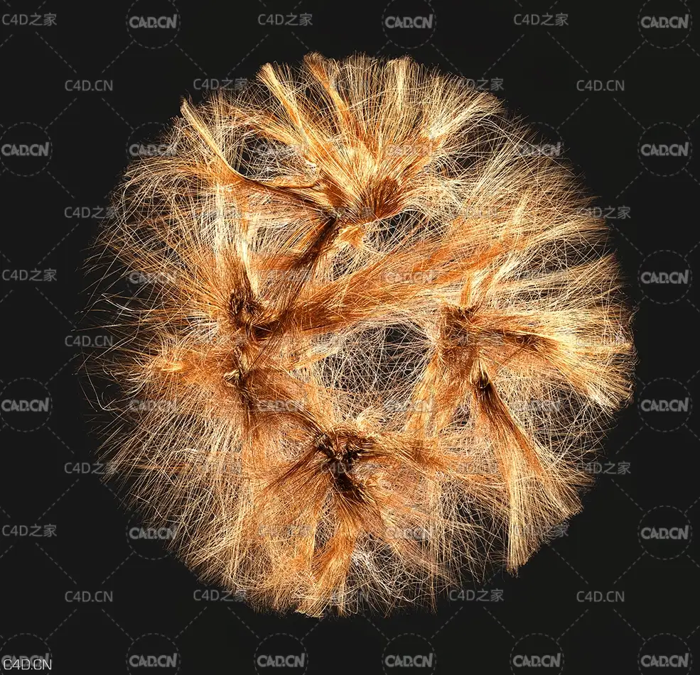 C4D Redshift工程：粒子节点毛发生长动画 Nodes