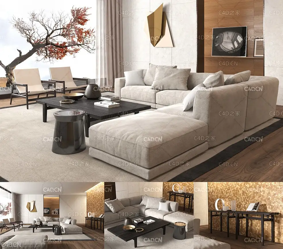 C4D室内模型：客厅渲染 CGTrader – BeInspiration 74 3D models