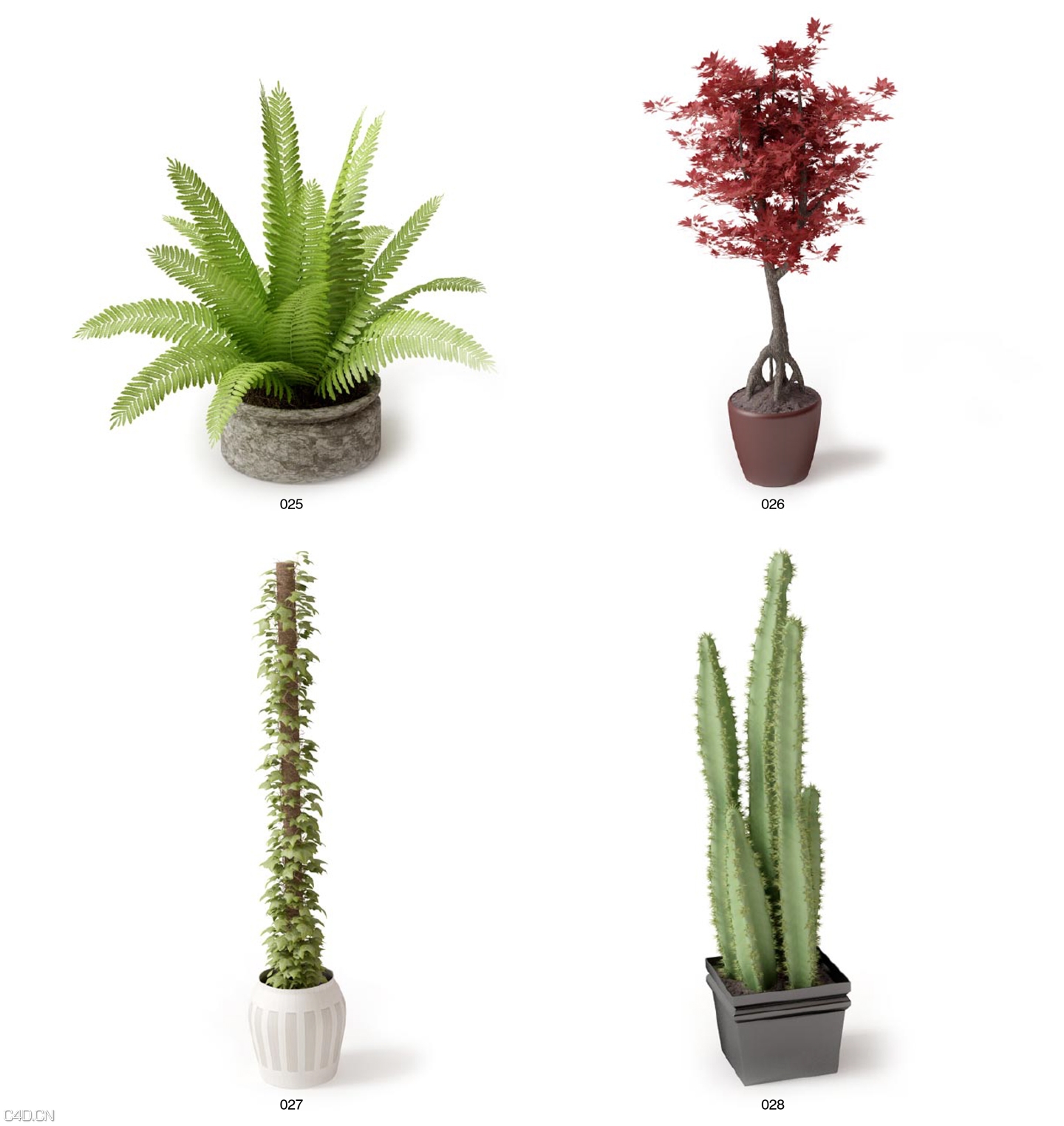 家居植物绿植仙人掌蕨叶 - C4D之家 - archmodels_vol_66-7.jpg