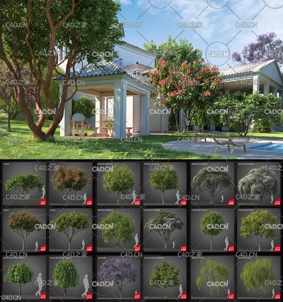 40套实用的网站带树木模型合集 Evermotion – Archmodels vol. 210 - C4D之家 - 未标题-1.jpg