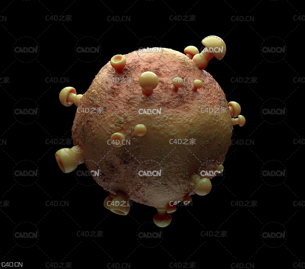 C4D制作真实的新冠肺炎病毒细胞教程 Cinema 4D R20+ Redshift: Virus Bacteria - C4D之家 - original.jpg
