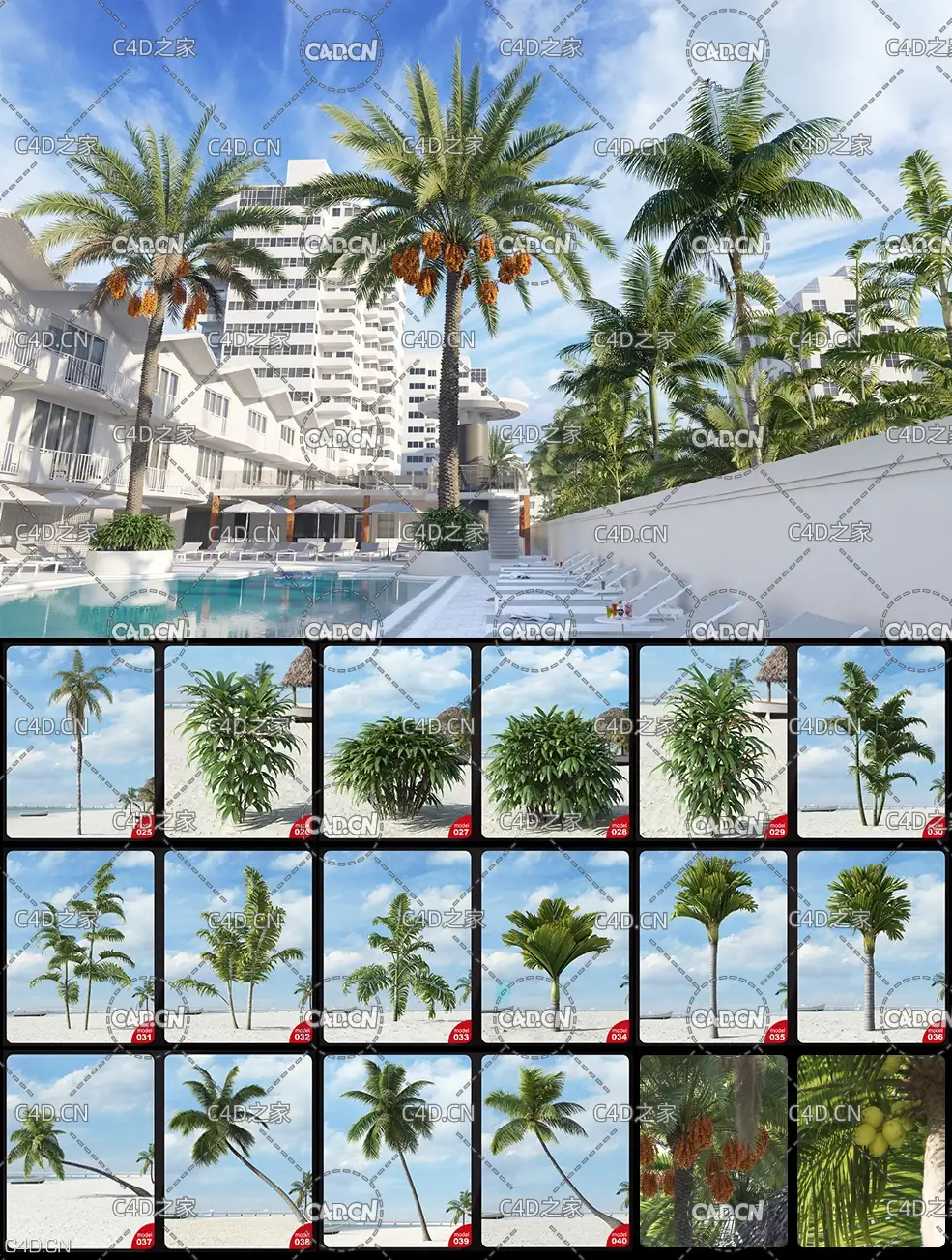 40个棕榈树 椰子树3D模型合集[MAX模型] Archmodels vol. 201 – Palm Trees