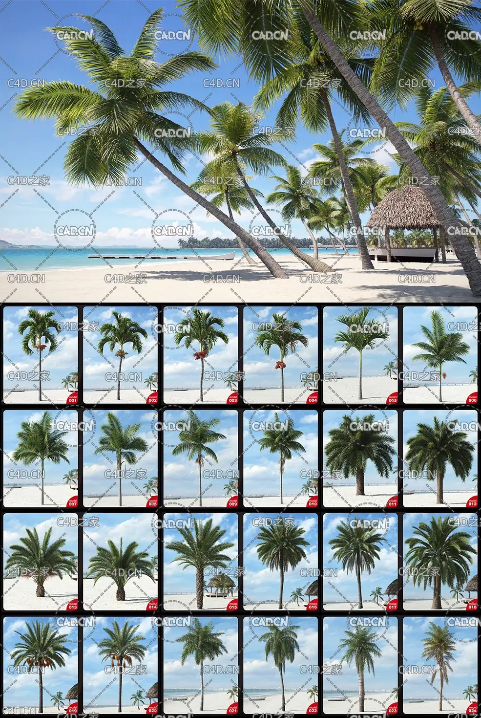 40个棕榈树 椰子树3D模型合集[MAX模型] Archmodels vol. 201 – Palm Trees - C4D之家 - 0.jpg
