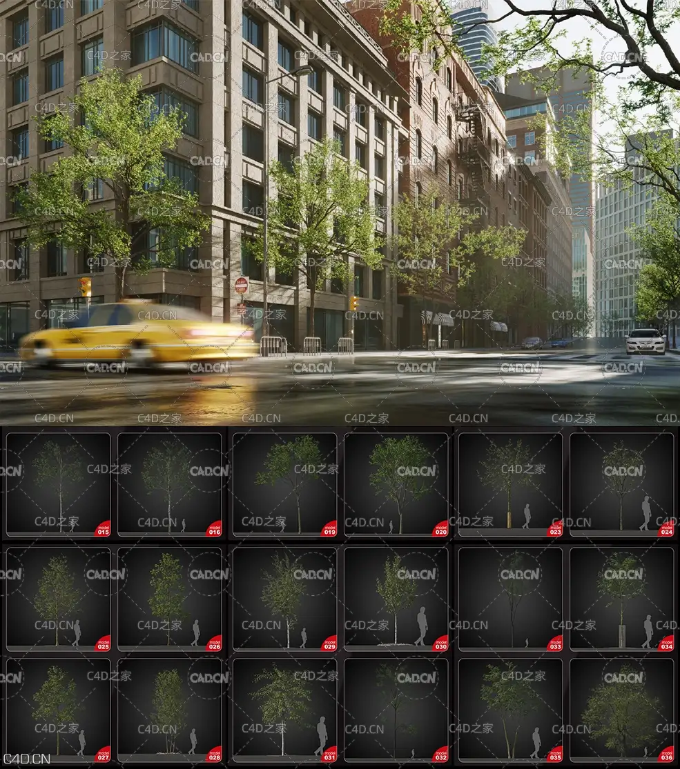 40个不错景观树木3D模型合集(MAX)Evermotion – Archmodels vol. 207 - C4D之家 - 未命名.jpg