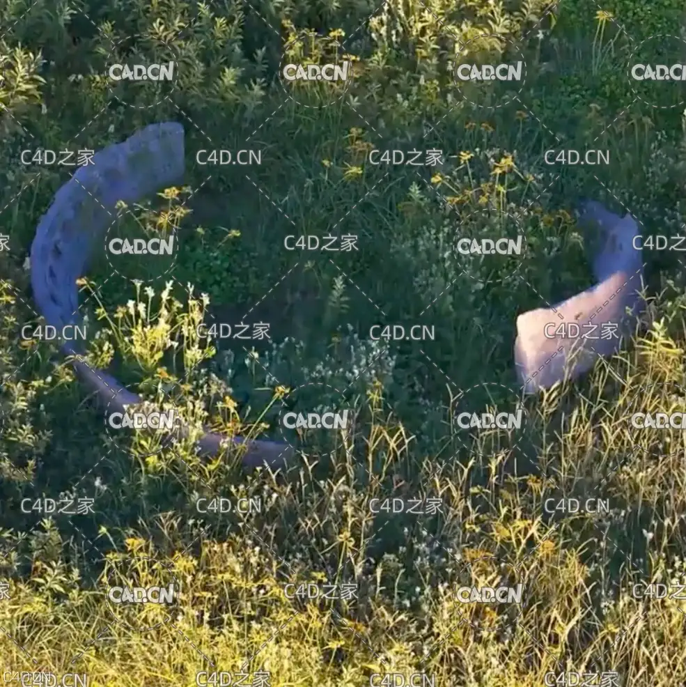 C4D+OC渲染真实大自然场景教程 Create Digital Nature Using Megascans and Octane - C4D之家 - cinema4d_-2020-03-17-18.25.49.jpg