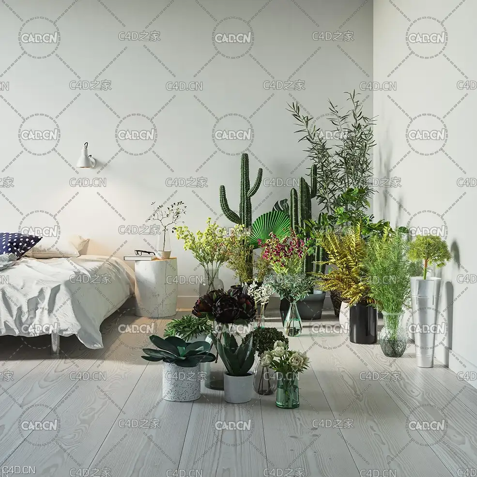 室内盆栽植物3D模型合集(MAX模型) triangleform – vol. 4 Interior Plants - C4D之家 - v4_tf_interior_plants_okladka.jpg