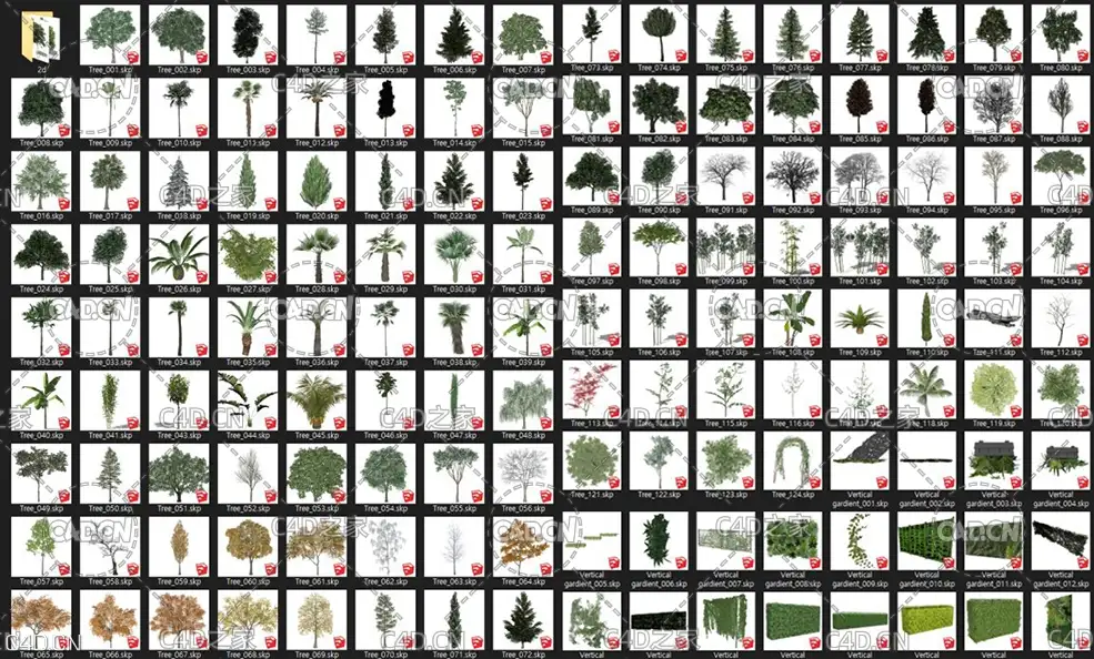 100多个SU树木模型合集(SKP格式模型) SketchUp Model 3D Tree set - C4D之家 - 1584618711_tree.jpg