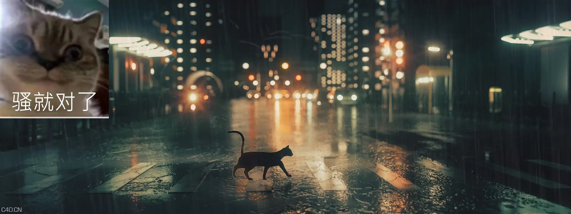 滑步骚猫（骚就对了） - C4D之家 - 行走_DeMain_0200_00042.jpg