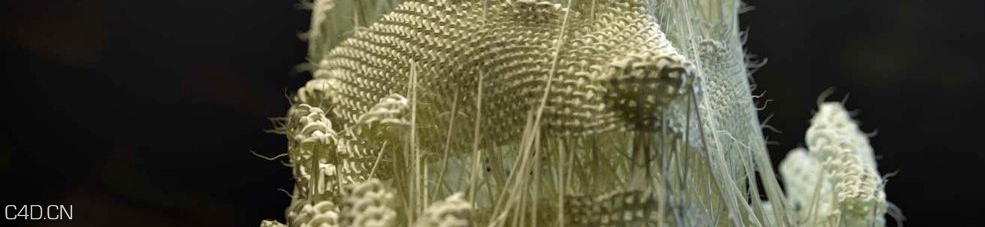 你不能不知道的14个C4D常用插件 - C4D之家 - 12.jpg