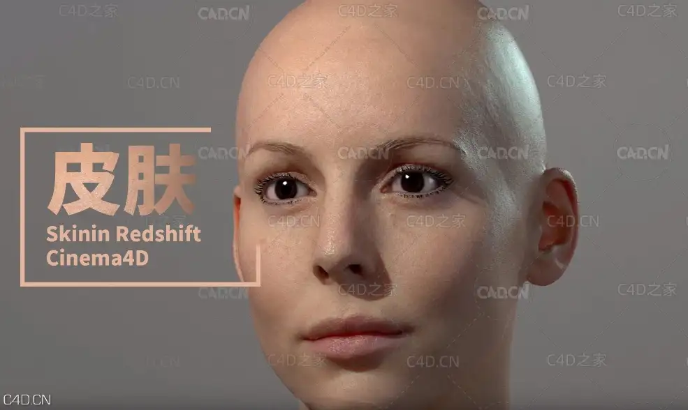 C4D使用红移渲染人物头像真实皮肤 Skinin Redshift Cinema4D