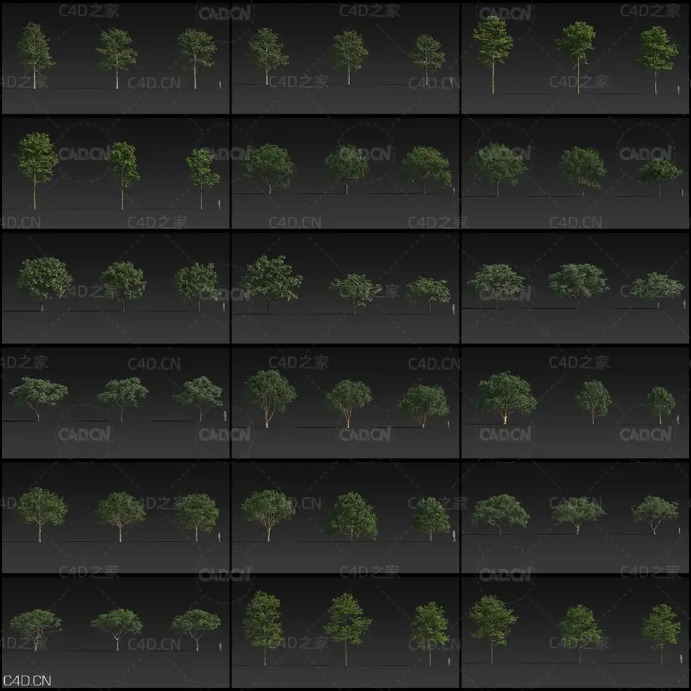 24个景观树木模型合集 Plant - C4D之家 - 未命名-1.jpg