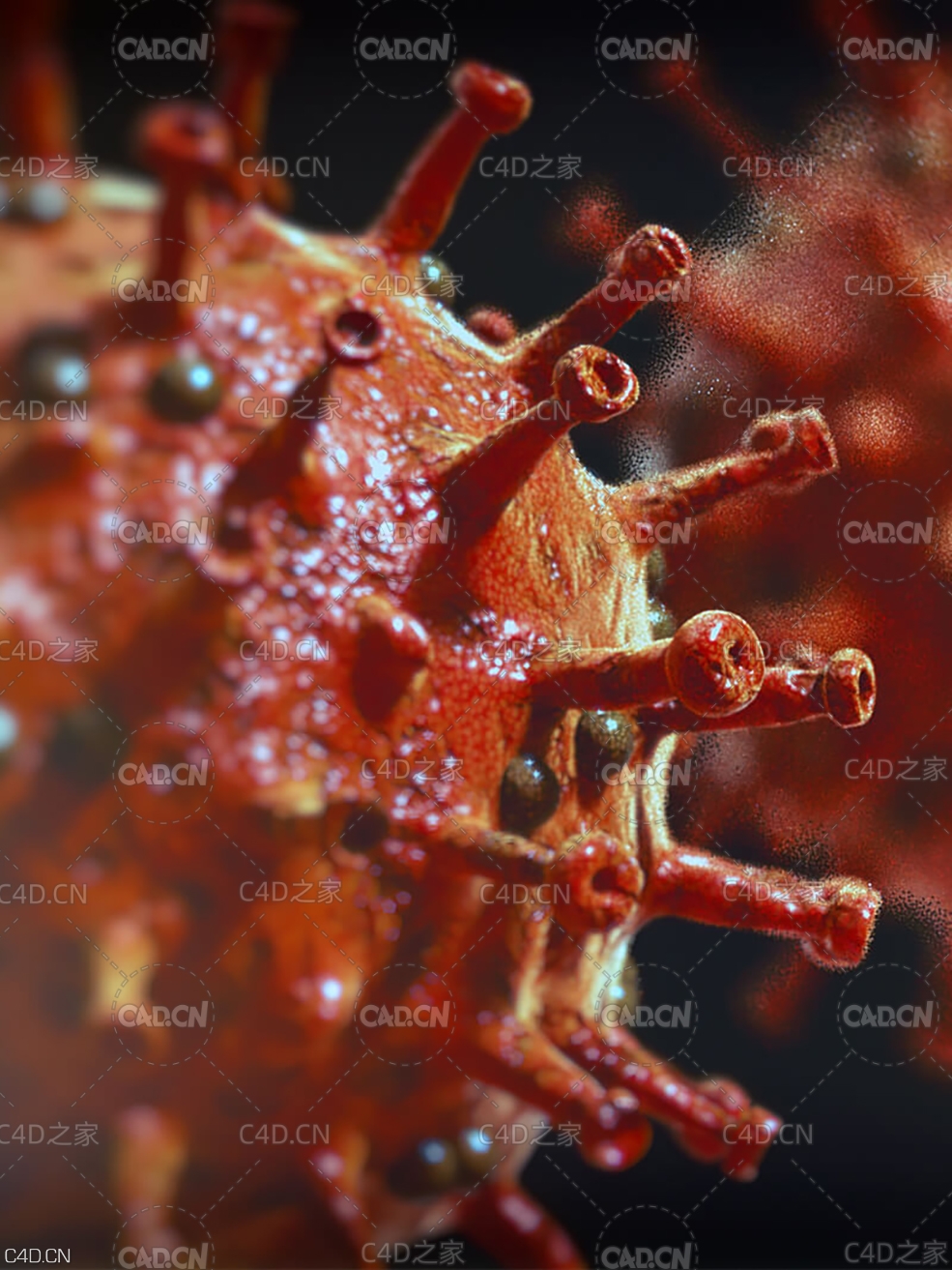新冠病毒C4D模型 Cinema 4D 3D Model Corona-Virus - C4D之家 - Free-Cinema-4D-3D-Model-Corona-Virus-Banner.jpg