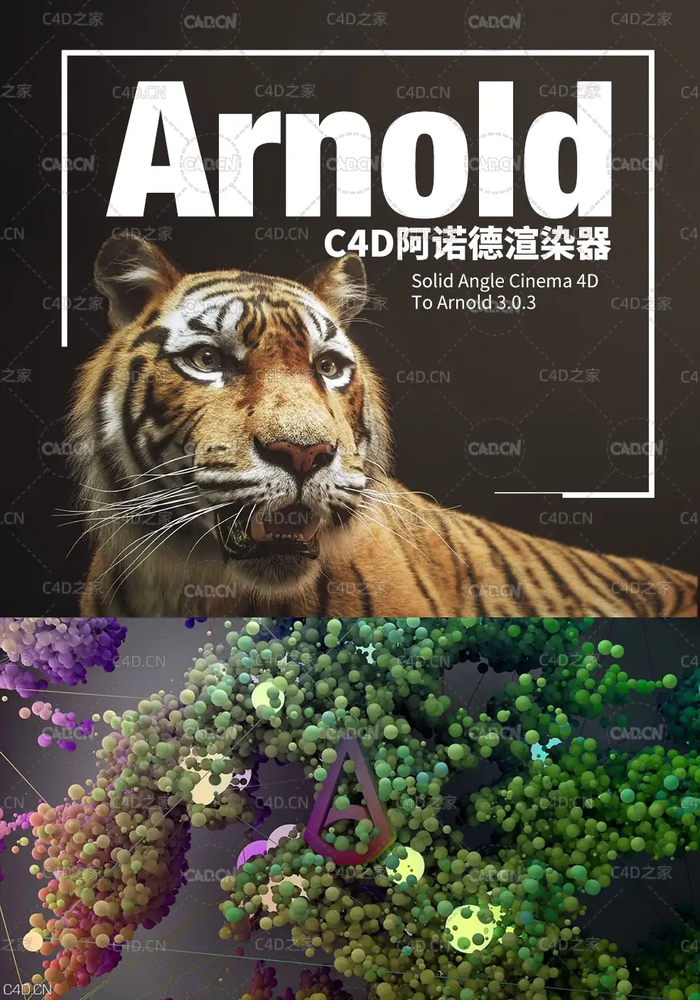 C4D阿诺德渲染器插件Solid Angle Cinema 4D To Arnold 3.0.3 - C4D之家 - SOLIDANGLEARNOLDLOGO3.jpg