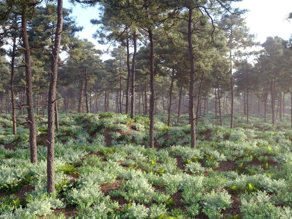 森林植物场景3D模型 Nouvelle Mesure Lab – Caledonian Forest Pack (3DS MAX格式) - C4D之家 - 1.jpg